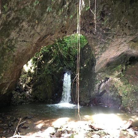 Roca Saudade Guest House Trindade ภายนอก รูปภาพ