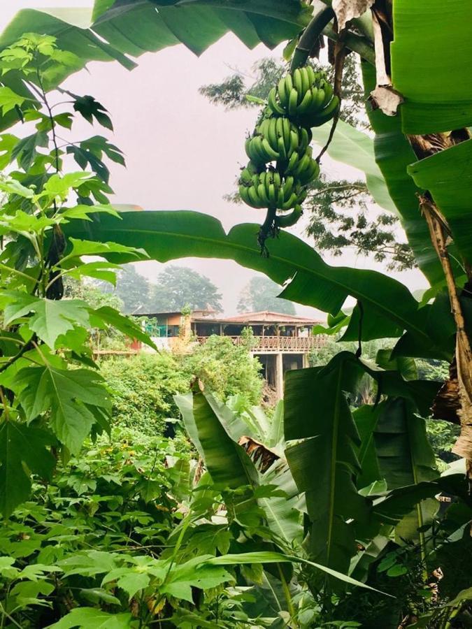Roca Saudade Guest House Trindade ภายนอก รูปภาพ